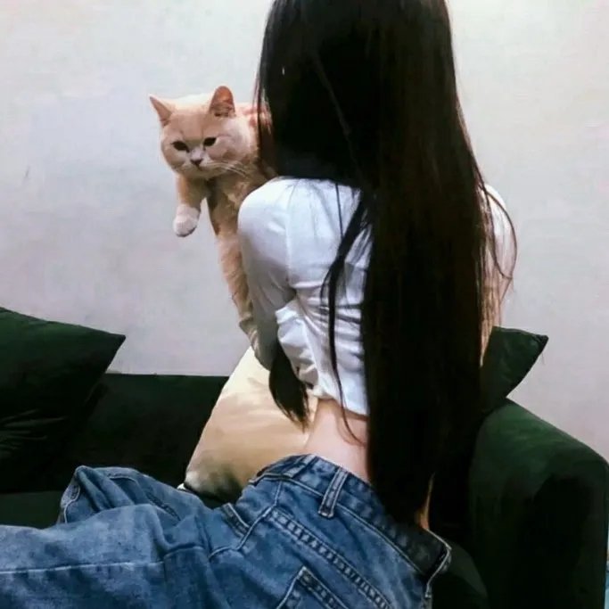 威尔第